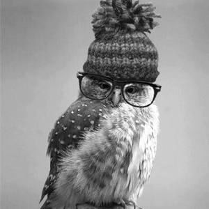 Meet your Posher, Isela